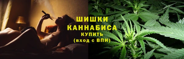 прущие грибы Приозерск