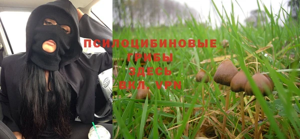 твердый Алексин