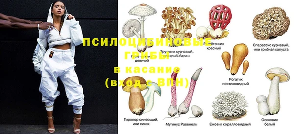 MESCALINE Аркадак