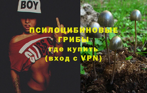 MESCALINE Аркадак